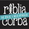 Riblja Čorba se čuje i bez struje