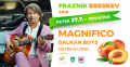 PRAZNIK BRESKEV 2018: Magnifico, Balkan Boys, Dej še'n litro PRAZNIK BRESKEV 2018: Magnifico, Balkan Boys, Dej še'n litro