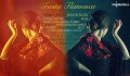 Fiesta Flamenca: Maria Keck, Janos Illes in gostje Fiesta Flamenca: Maria Keck, Janos Illes in gostje
