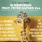 Festival In Memoriam prof. Peter Hafner