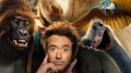 DOLITTLE DOLITTLE