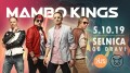 SELNICA V LUFTI - MAMBO KINGS SELNICA V LUFTI - MAMBO KINGS