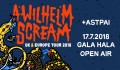 A Wilhelm Scream A Wilhelm Scream