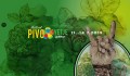 Festival PIVO IN CVETJE Laško 2019 – tridnevno kampiranje Festival PIVO IN CVETJE Laško 2019 – tridnevno kampiranje