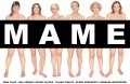 MAME (1. del) MAME (1. del)